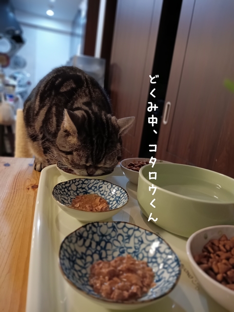 1710588067167.jpg