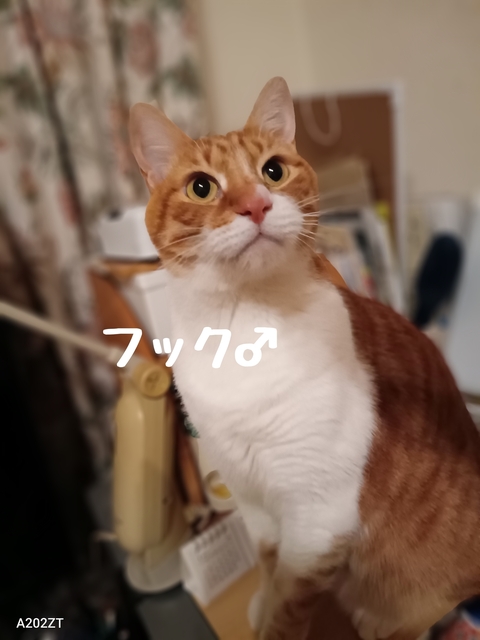 1737282324802.jpg