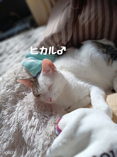 1737282743570.jpg