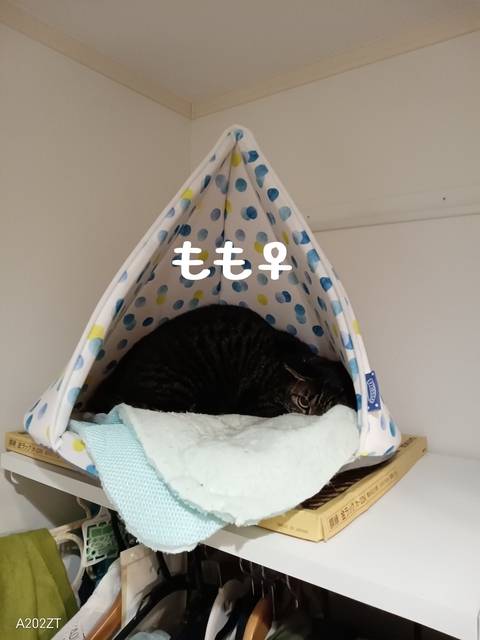1737283783318.jpg